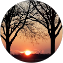 Liz Smeets profielfoto